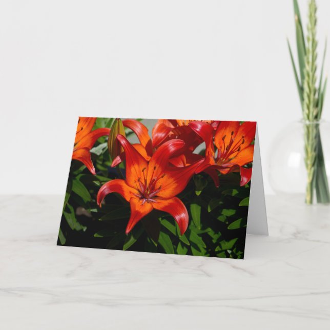 Dark-Pink Orange Lily Card (Front)