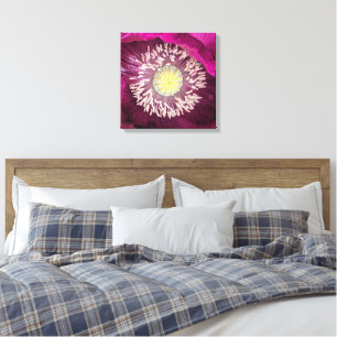 Dark Pink Oriental Poppy Floral Canvas Print