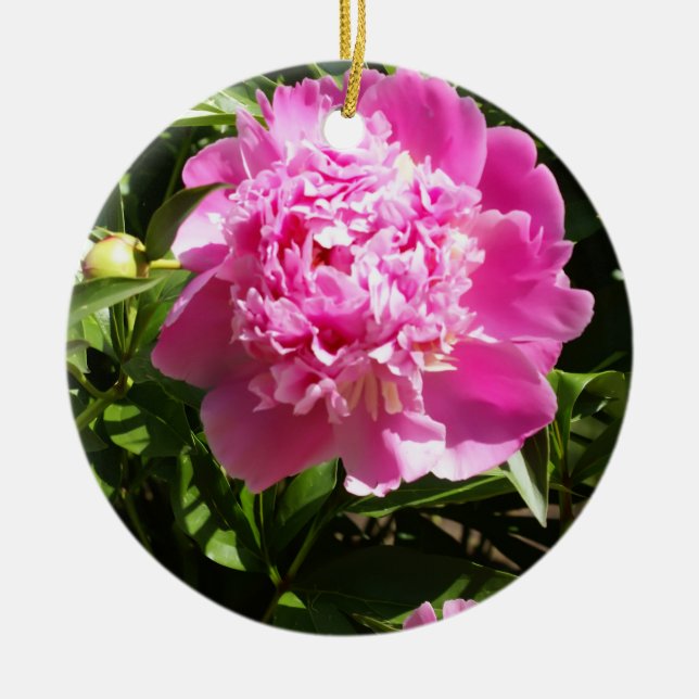 Dark pink peonies  ceramic ornament (Front)