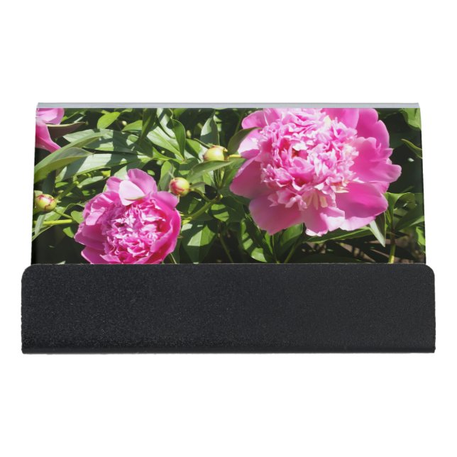 Dark pink peonies  desk business card holder (Front)