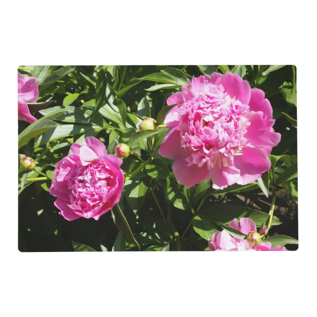 Dark pink peonies  placemat (Front)