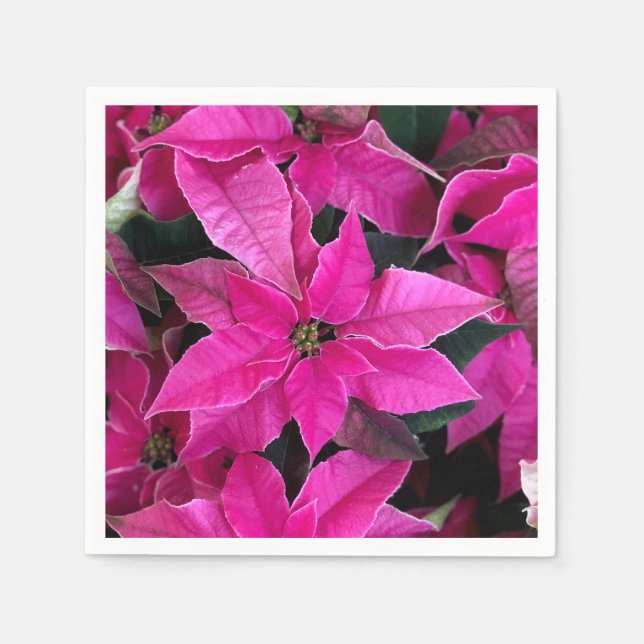 Dark Pink Poinsettia  Napkins (Front)