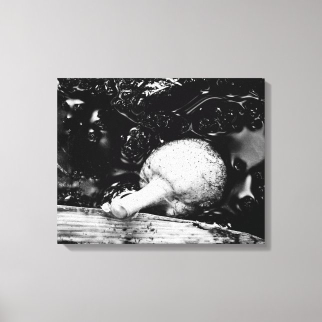 dark protector canvas print (Front)