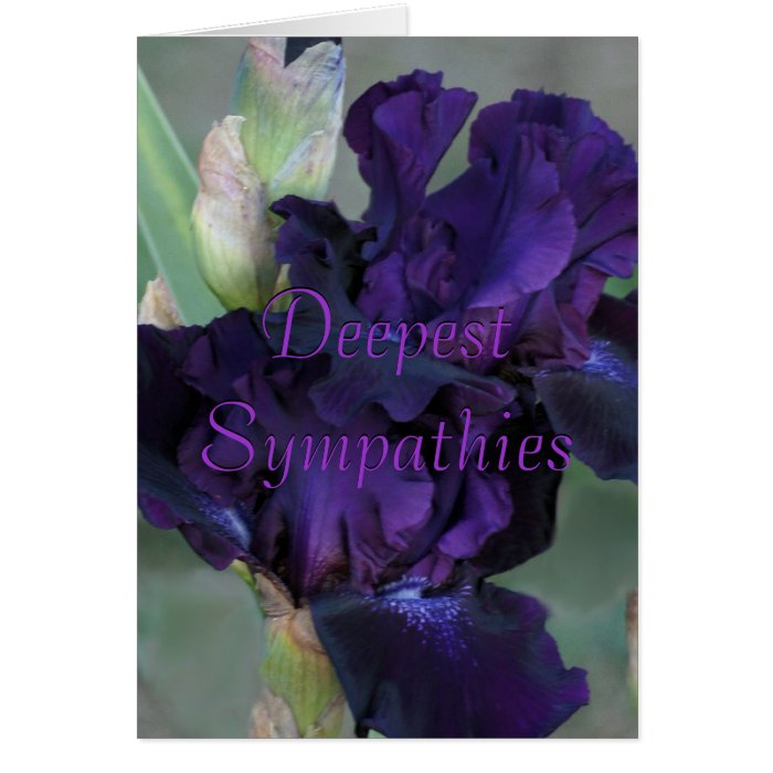 Dark Purple Iris Sympathy Card- customize Card | Zazzle