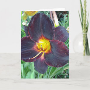 Dark Purple Lily Blank Card