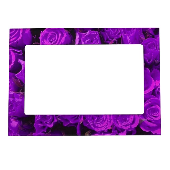 dark purple Rose collage Magnetic Frame (Front)