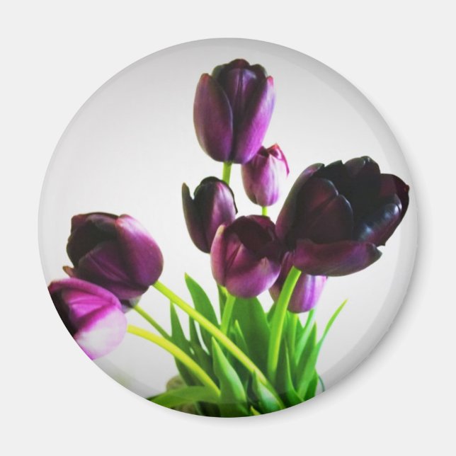 Dark Purple Tulips Magnet (Front)