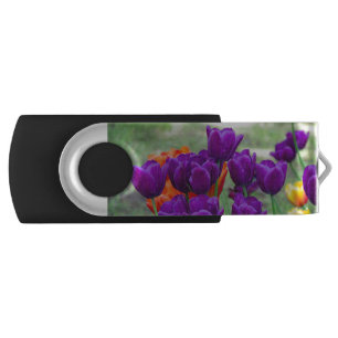 Dark purple tulips  on a sunny day in the garden   flash drive