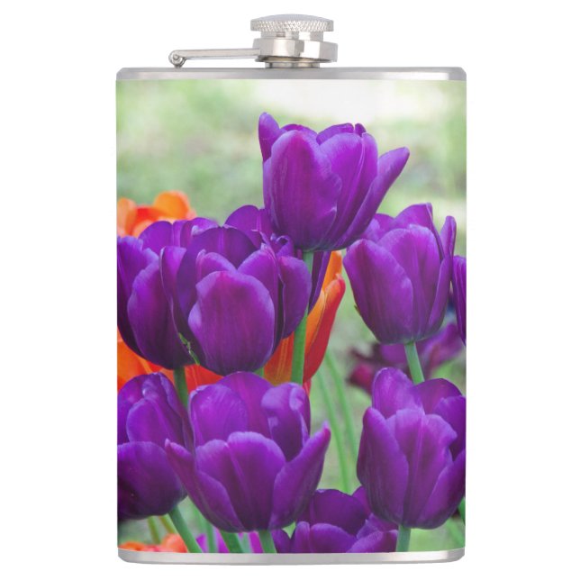 Dark purple tulips  on a sunny day in the garden  flask (Front)