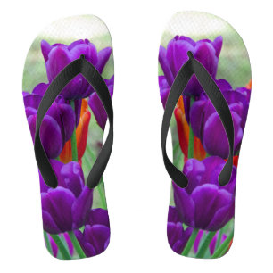 Dark purple tulips  on a sunny day in the garden   flip flops