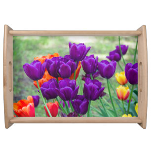 Dark purple tulips on a sunny day in the garden serving tray