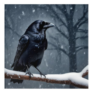 Dark Raven Black Bird Acrylic Print