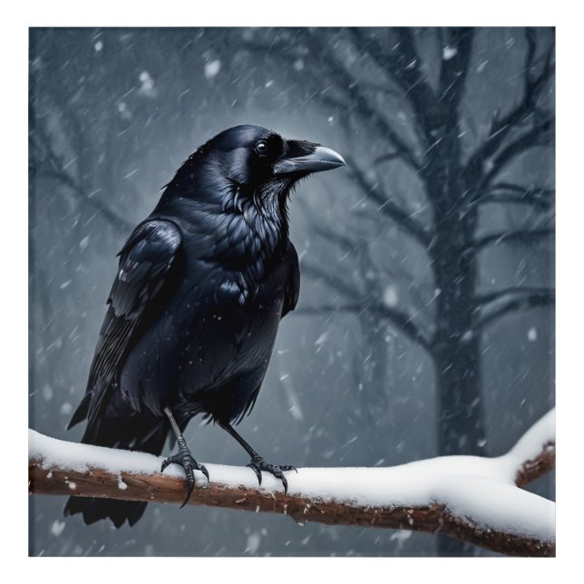Dark Raven Black Bird Acrylic Print (Front)