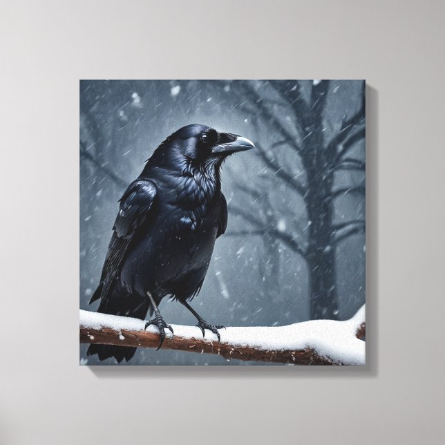 Dark Raven Black Bird Canvas Print (Front)