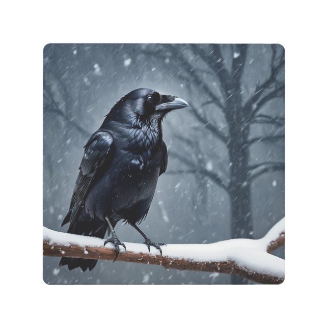 Dark Raven Black Bird Metal Print (Front)