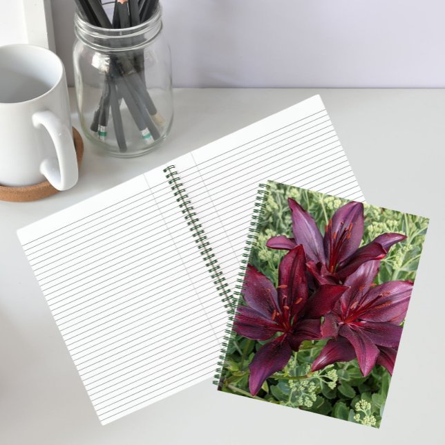 Dark Red Asiatic Lilies Floral Notebook (In Situ)