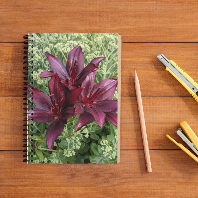 Dark Red Asiatic Lilies Floral Notebook (In Situ)