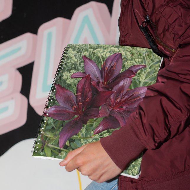 Dark Red Asiatic Lilies Floral Notebook (In Situ)