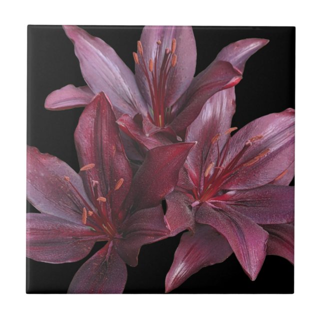 Dark Red Asiatic Lilies on Black Floral Ceramic Tile (Front)