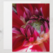 dark red blossom (Front/Back)