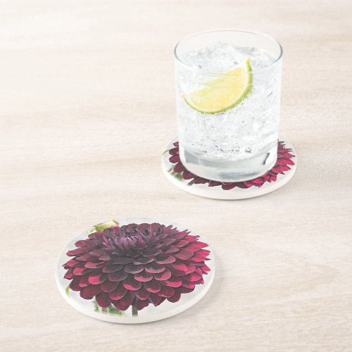 Dark Red Dahlia Bloom Floral Coaster