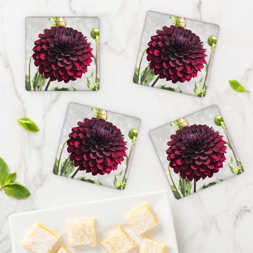 Dark Red Dahlia Bloom Floral Coaster Set