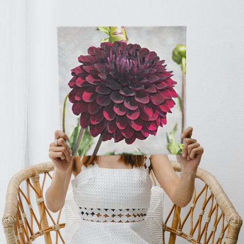 Dark Red Dahlia Bloom Floral Gallery Wrap