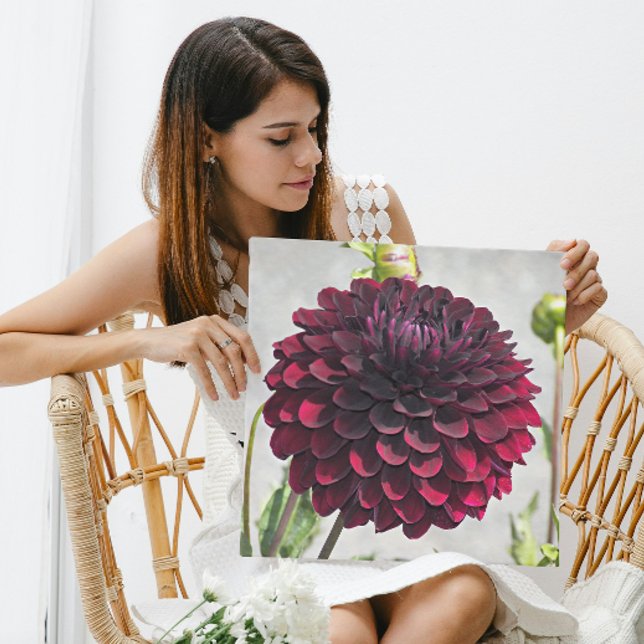 Dark Red Dahlia Bloom Floral Metal Print (In Situ)