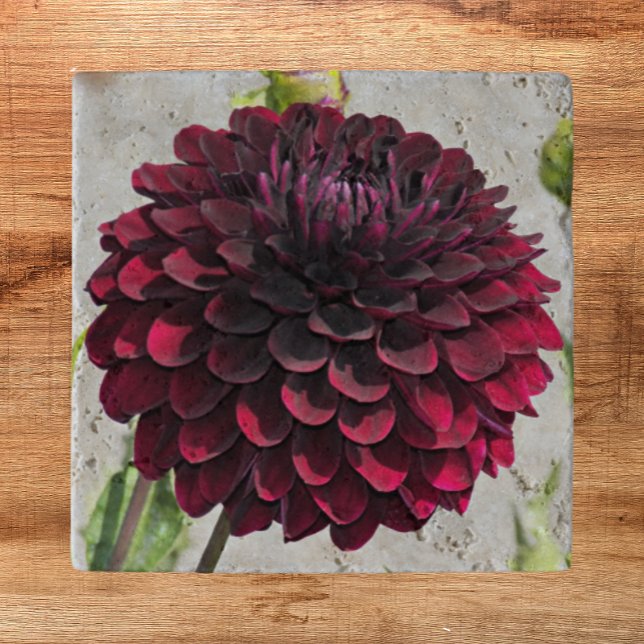 Dark Red Dahlia Bloom Floral Trivet (In Situ)