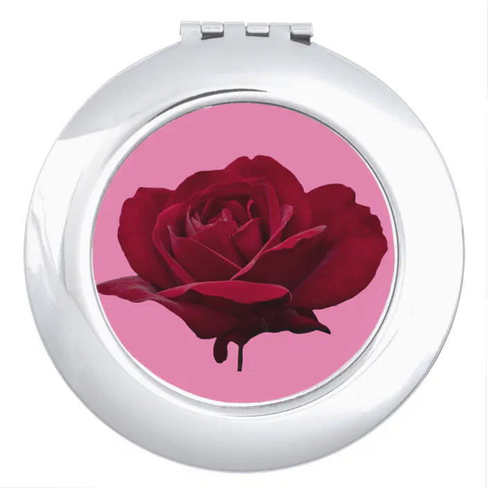 Rose dark aesthetic red Rose