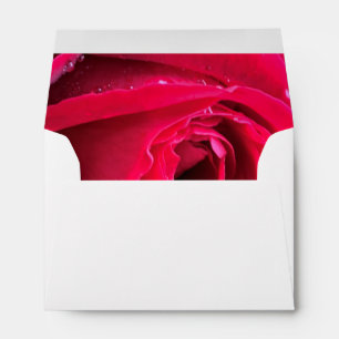 Dark red rose envelope