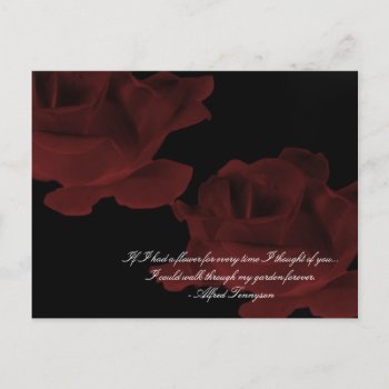 Dark Red Rose Postcard by naiza86 at Zazzle