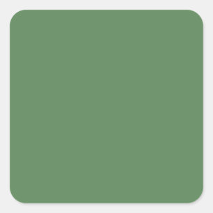 Dark sage (solid color) square sticker