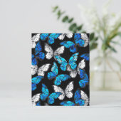 Dark Seamless Pattern with Blue Butterflies Morpho (Standing Front)