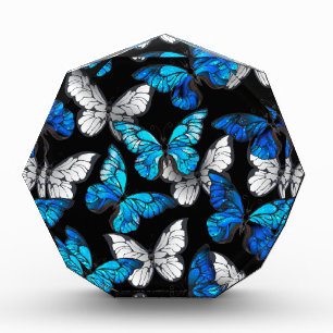 Dark Seamless Pattern with Blue Butterflies Morpho Acrylic Award