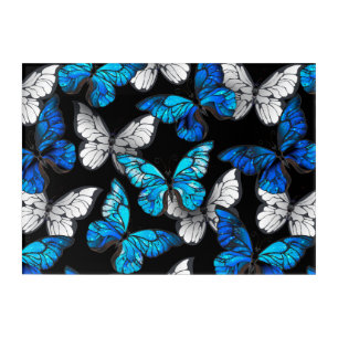 Dark Seamless Pattern with Blue Butterflies Morpho Acrylic Print