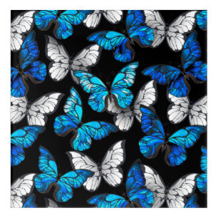 Dark Seamless Pattern with Blue Butterflies Morpho Acrylic Print