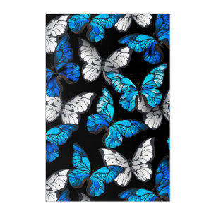 Dark Seamless Pattern with Blue Butterflies Morpho Acrylic Print