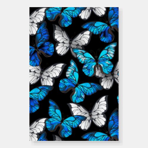 Dark Seamless Pattern with Blue Butterflies Morpho Foam Board