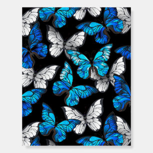 Dark Seamless Pattern with Blue Butterflies Morpho Foam Board