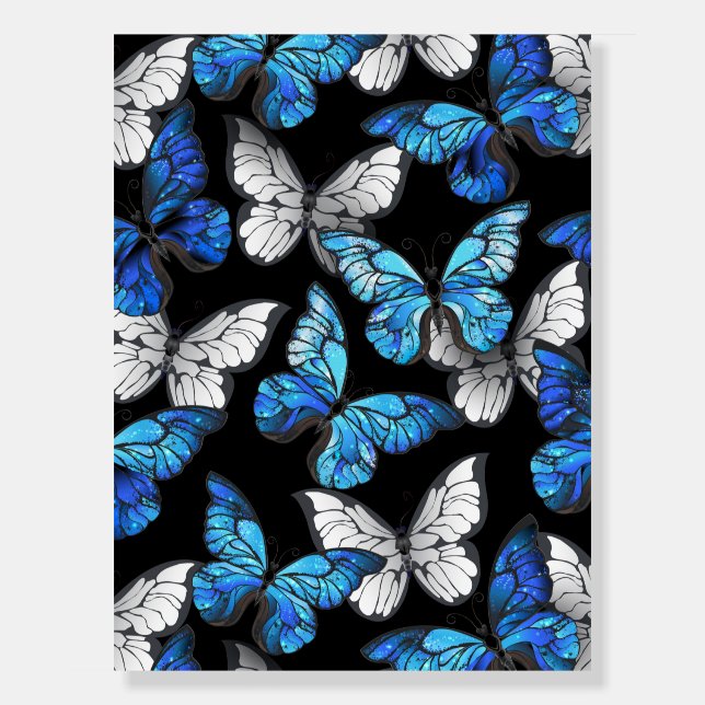 Dark Seamless Pattern with Blue Butterflies Morpho Foam Board (Front)