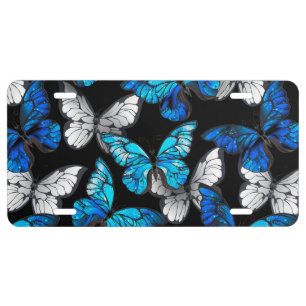 Dark Seamless Pattern with Blue Butterflies Morpho License Plate