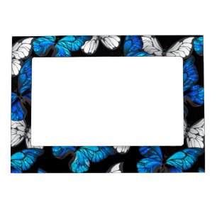 Dark Seamless Pattern with Blue Butterflies Morpho Magnetic Frame