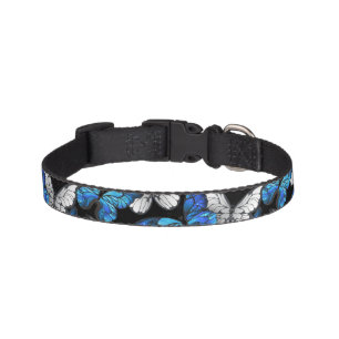 Dark Seamless Pattern with Blue Butterflies Morpho Pet Collar