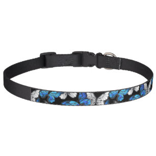 Dark Seamless Pattern with Blue Butterflies Morpho Pet Collar