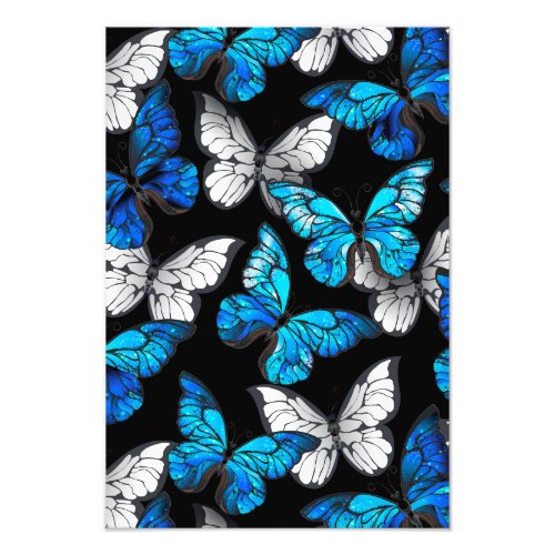 Dark Seamless Pattern with Blue Butterflies Morpho Photo Print