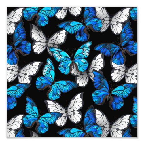 Dark Seamless Pattern with Blue Butterflies Morpho Photo Print