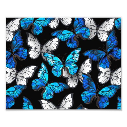 Dark Seamless Pattern with Blue Butterflies Morpho Photo Print