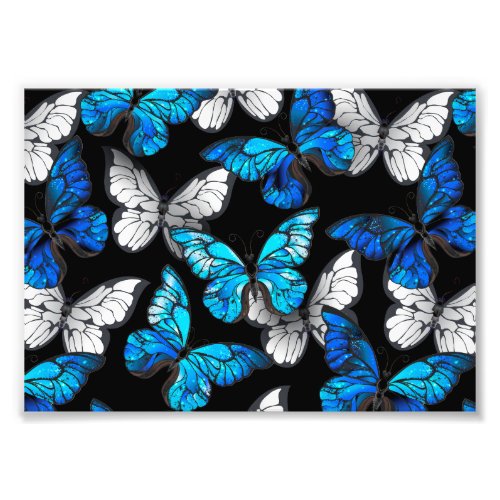 Dark Seamless Pattern with Blue Butterflies Morpho Photo Print