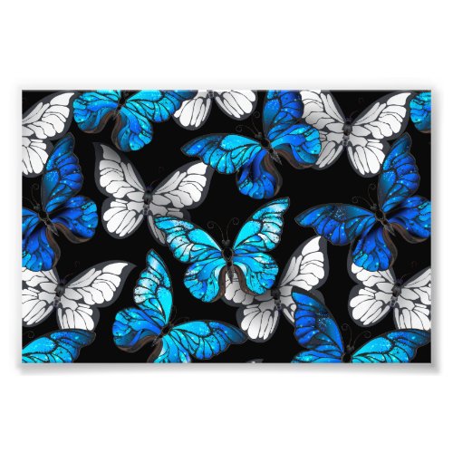 Dark Seamless Pattern with Blue Butterflies Morpho Photo Print